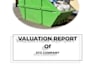 do business valuation and financial analysis